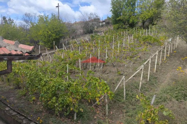 Къща в с.Ореш