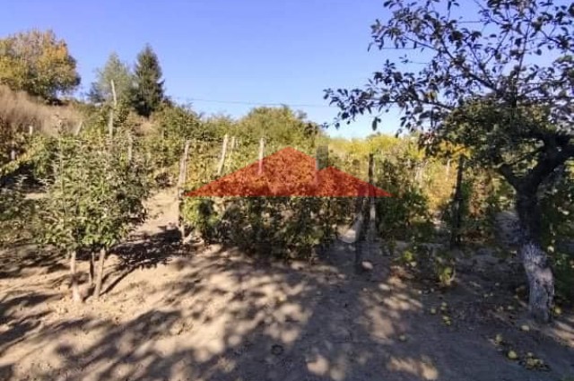 Къща Б.Сливово