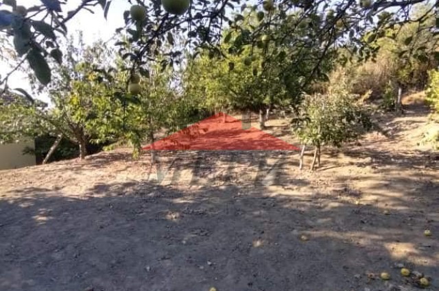 Къща Б.Сливово